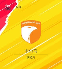 足球小将董路直播感谢比亚迪引发热议